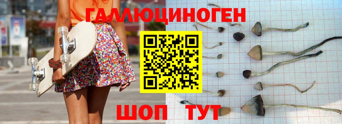 Заволжье  Псилоцибиновые грибы ЛСД  Вход с VPN  Псилоцибиновые грибы Cubensis 